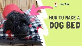 DIY Dog Bed: How to Make a Homemade Dog Bed!