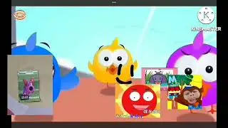 Lucky Ducky race add round 6
