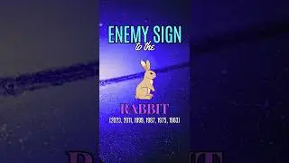 Year Of The Rabbit Chinese Zodiac #numerology #astrology #lawofattraction #rabbit #777