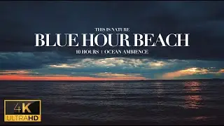 BLUE HOUR BEACH (4K UHD) | Ocean Ambience - 10 Hours - Nature Sleep Sounds & Relaxation #4k #nature