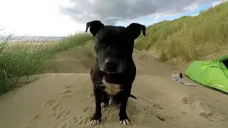 Harlech 🐾 North Wales Coast ⛺️ Wildcamping 2017