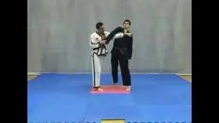 Effective Hapkido | DVD Self Defense Techniques A (N.: 1)