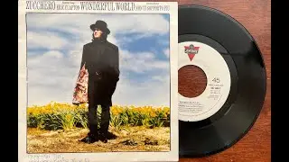 SP - ZUCCHERO & Eric Clapton - Wonderful World - Non Ti Sopporto Piu ,PolyGram 1990 /Philips GP 412/