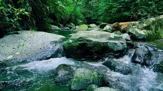 Great River Vibe for Rest and Relax #relax #nature #riverasmr #naturesounds