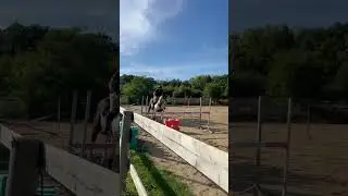 Cheval &agrave; vendre - Hongre 3 ans - equirodi.com