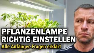 Setting up plant lights correctly &ndash; all questions explained for beginners!