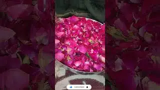 Shab-e-barat preparation started #shorts #youtubeshorts #shabebarat