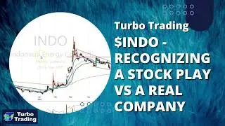 $INDO Recognizing a Stock Play vs a Real Company