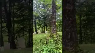 Family Cemetery in Florida Massachusetts