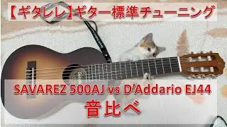 【ギタレレ】ギター標準チューニング SAVAREZ 500AJ vs D’Addario EJ44 音比べ