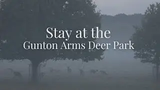 Отдохните в отеле The Gunton Arms в Норфолке, расположенном в окружении оленьего парка | beyoubloom