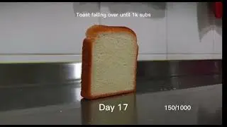 Toast falling over until 1k day 17