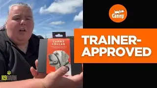 Why This Dog Trainer Swears by the Canny Collar | K9 Barn&rsquo;s Honest Review [Demo + Review] 🐾