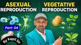 🌱 Reproduction in Plants | Class 7 & 8 Science | Easy Explanation l Part-4