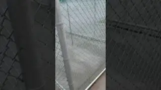 Dog Kennel Misting Install Pet Suites of America Roswell Ga.