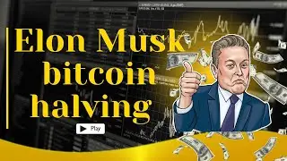 Elon Musk's Bitcoin Bumpy Ride: A Forecast till 2024 #elonmusk #bitcoin #crypto
