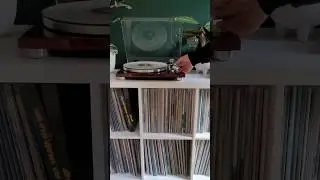 Pelagic Records Secret Vinyl Release: BRUIT &le; - Apologie Du Temps Perdu Vol. 1 #shorts #unboxing