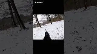 Он многое наткнулся во время охоты на дикую лошадь в лесу.#caccia #wildanimals #shootingrange
