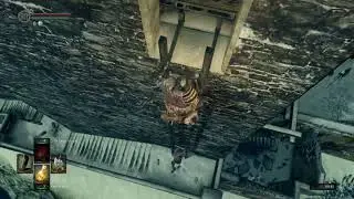 The average Dark Souls lock-on