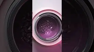 Воскоплав  SMOOTH DL 500