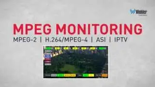 MPEG-2 and MPEG-4/H.264 Monitoring and Analysis - MPEG Series