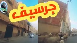 جولة من النكد إلى حرشة كمبير بمدينة جرسيف