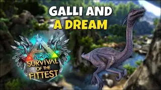 This Accidental Galli Strat is actually Good! | Ark: Survival of the Fittest