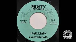 Larry Michael - Lovely Lady (Rare Modern Soul Crossover 1979 Vinyl Rip)