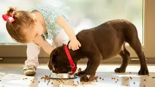 Why do some dogs bite children?