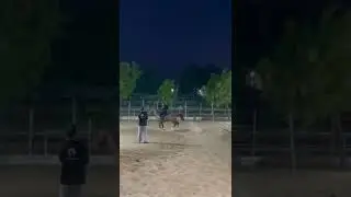 I&rsquo;m proud! #horses #equestrian #goals #reached #happy #jumping #highjump #fyp #blowup #shorts