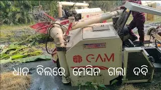 ଧାନ ବିଲରେ ମେସିନ ଗଲା ଦବି ଓଡ଼ିଆ #bijayvlog 