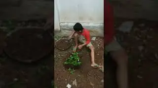 World Environment Day 2021