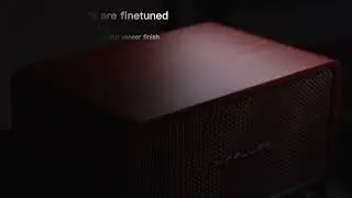 Airpulse P100X One of a Kind Active Speaker