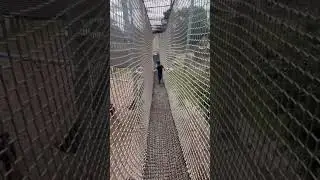 Rope bridge walk #bridges #shorts #short #ytshorts #viralshorts #trending #ropebridge #adventurepark