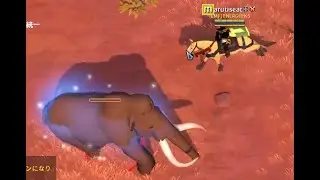 【Albion Online】初見さん大歓迎！！ギャザ＆金策