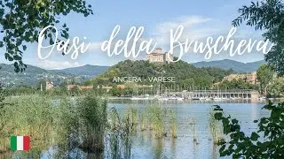 Passeggiata nell'OASI della BRUSCHERA - Angera (VA)