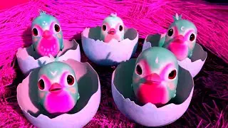 Five Eggs were Hatched Effects Compilation Sponsored by Gamavision Csupo