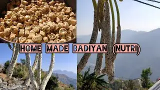 TRADITIONAL HIMACHALI HOMEMADE BADIYAN (NUTRI) PAHADI KHANA  ATJ MOUNTAIN LIFE