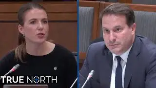Conservative MPs challenge Marco Mendicino over Liberal gun buyback scheme