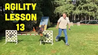 Beginning Dog Agility 13th Lesson