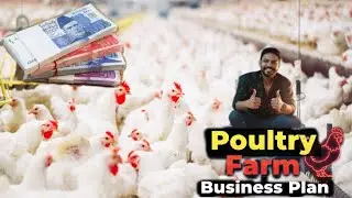 Poltry Farming In Pakistanپولٹری فارمنگ 