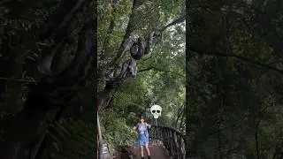 big snake anaconda can't be scary 💀