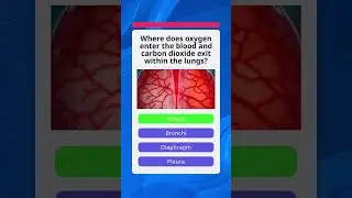 Breathe In&hellip; and Quiz On!  Human Lungs Quiz Challenge!