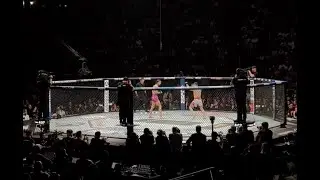 Merab Dvalishvili DESTROYS Sean O'Malley at UFC 316