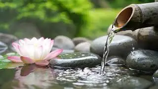 Soothing Water Sounds & Healing Music 🌿 Insomnia Relief, Calm Mind & Deep Relaxation