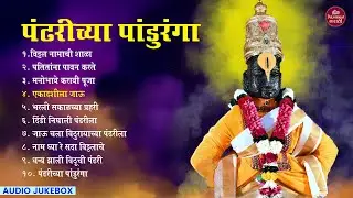 Pandhrichya Panduranga | पंढरीच्या पांडुरंगा | विठ्ठल भक्तीगीत 2025 | AUDIO JUKEBOX #vitthalsong