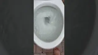 Mansfield pro fit toilet clogged siphon jet test