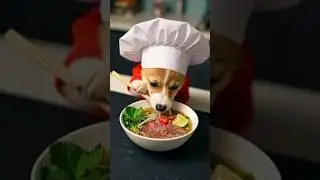 Corgi Puppy Pho Cooking ASMR #mukbang #slurps #noodlelover #kitchenvibes #cutepets