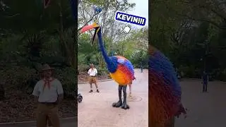 MUST DO Disney World Meet & Greet! 😮🦜(Kevin at Animal Kingdom)