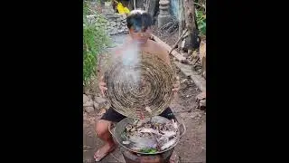 Can You Eat These? Catch and Cook Best Land Crabs